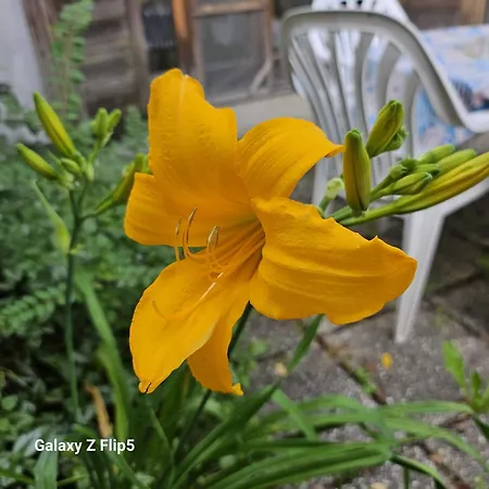 Harvey's Homestay
